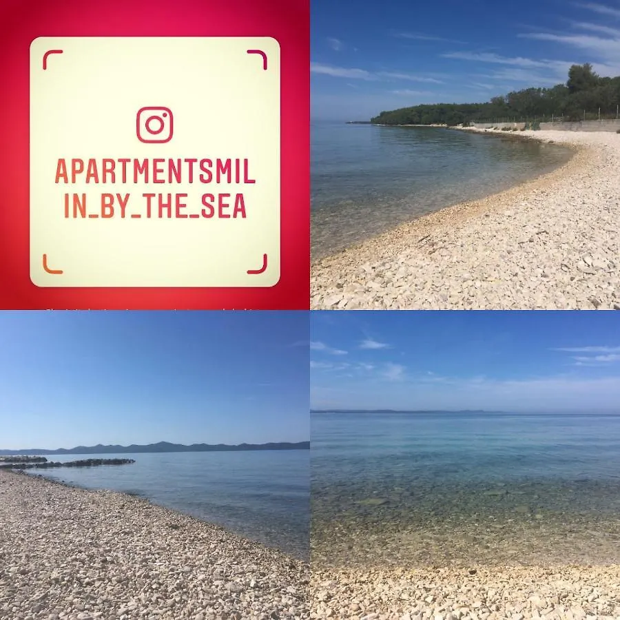 Apartment Milin By The Sea-Zadar-Diklo